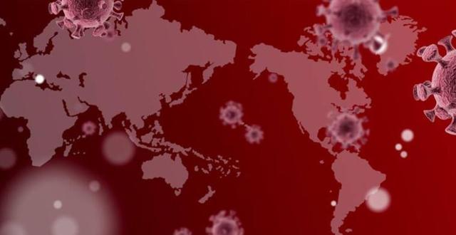 真相大白病毒从欧洲传入纽约特朗普还执迷不悟吗？