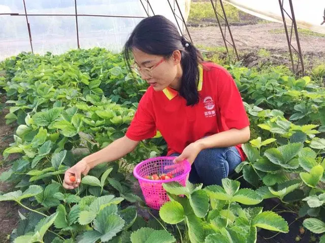 211大学90后工科女生,从农盲到农村致富带头人,故事很动人