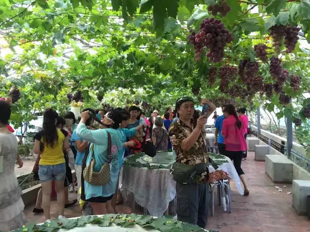 211大学90后工科女生,从农盲到农村致富带头人,故事很动人