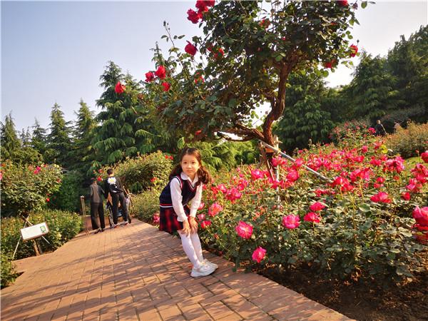 “五一赏花攻略”丨月季“偶遇”芍药,玫瑰也来“凑热闹”