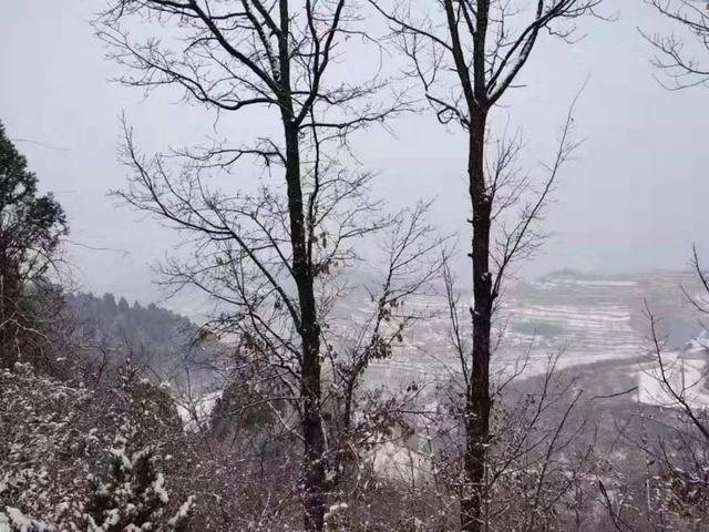 散文：你的微笑是最美的景