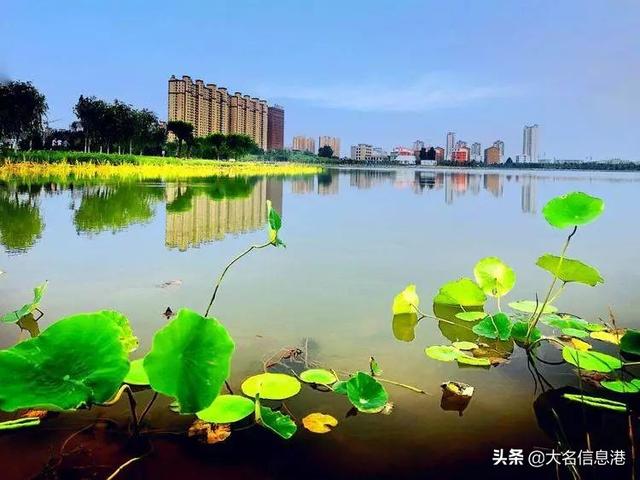 美爆了！大名北湖公園美景來了，一大波高清圖曝光