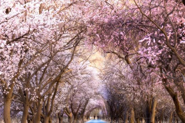 适合小住7天的绝美小城小镇，和当地人一起享受慢生活