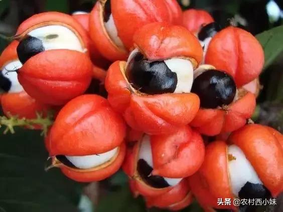 这些稀奇蔬菜水果大家有吃过吗？