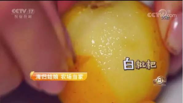 海归姑娘搞农业，一个“精”字让她年销1700万