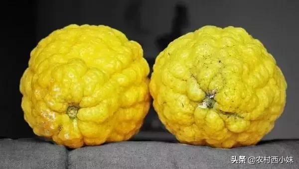 这些稀奇蔬菜水果大家有吃过吗？