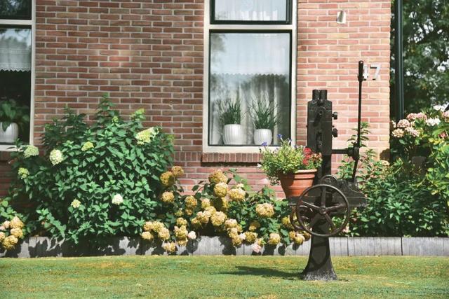 全球最美的10个鲜花小镇