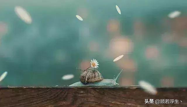 少言是修养,闭嘴是智慧