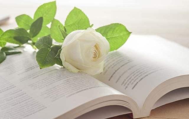 往事不回头，余生不将就