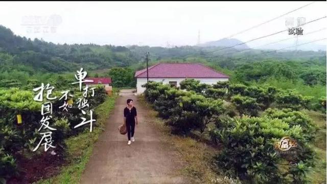 海归姑娘搞农业，一个“精”字让她年销1700万