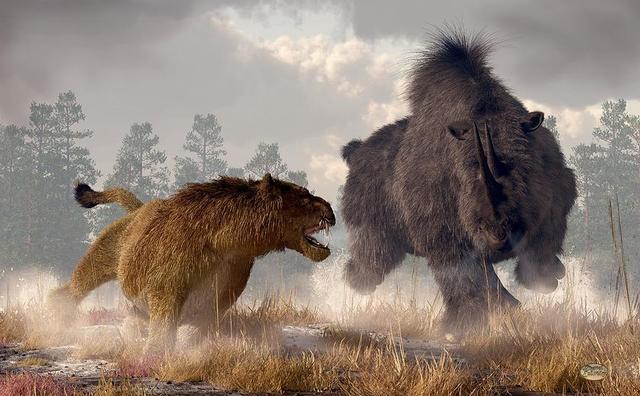 辟谣肯尼亚巨狮实为狮鬣兽真正的史前巨狮曾称霸五大洲