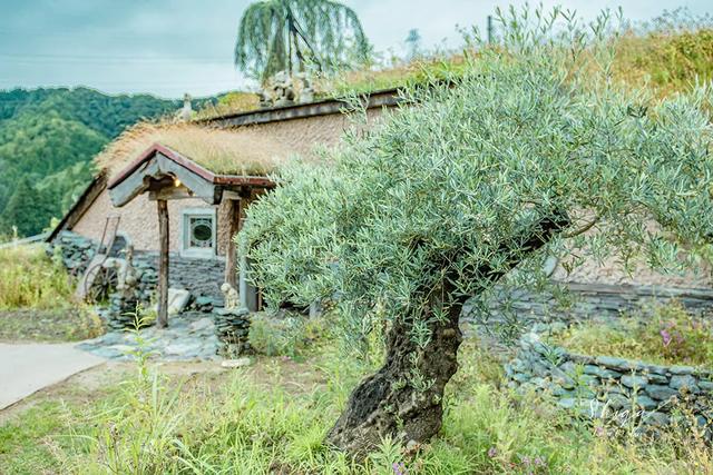 日本精灵庄园，让你放下脚步，忘掉肺炎