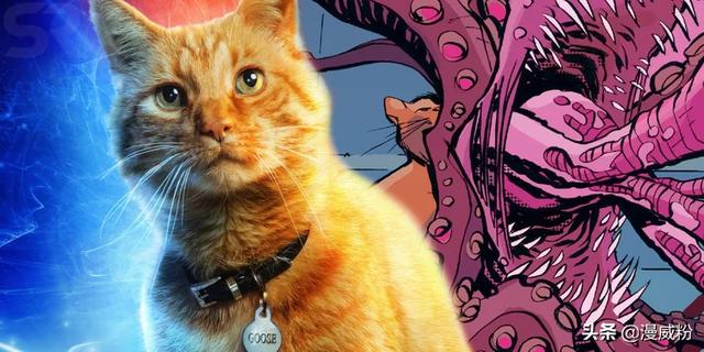 盘点漫威最强大的8位宠物英雄仨狗两猫两龙一鹰