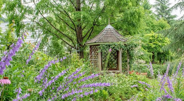 日本精灵庄园，让你放下脚步，忘掉肺炎