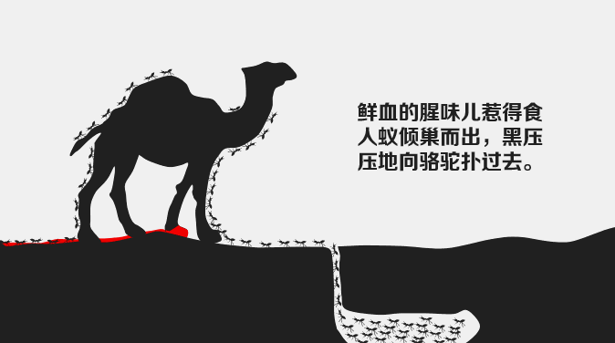 想明白了，你就再也不会生气了