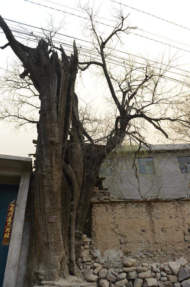 千年古鎮 固新
