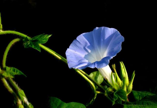 因为看轻，所以快乐；因为看淡，所以幸福