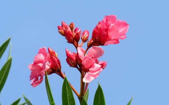 愿岁月静好，你我都好