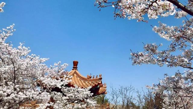 让开心成为一种习惯