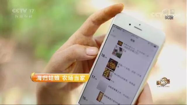 海归姑娘搞农业，一个“精”字让她年销1700万