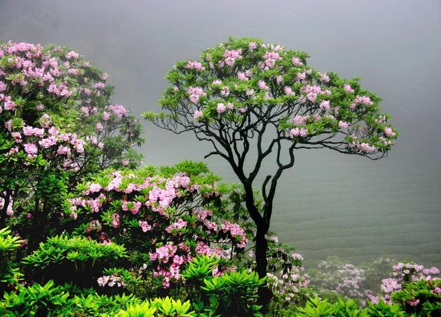 天台，一座康养之城