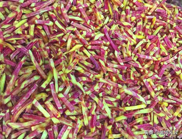 我国彩色马铃薯加工拓荒者张利彬的薯业情缘