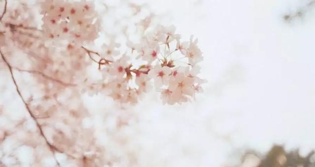 再过30天，中国这些地方很美