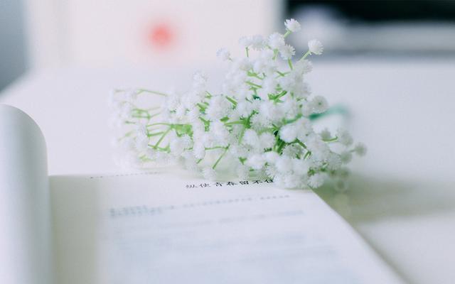 余生：做个俗人，往事清零，爱恨随意