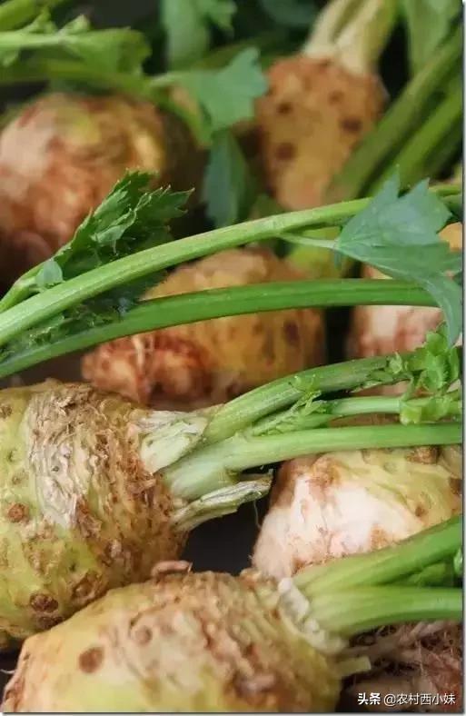 这些稀奇蔬菜水果大家有吃过吗？